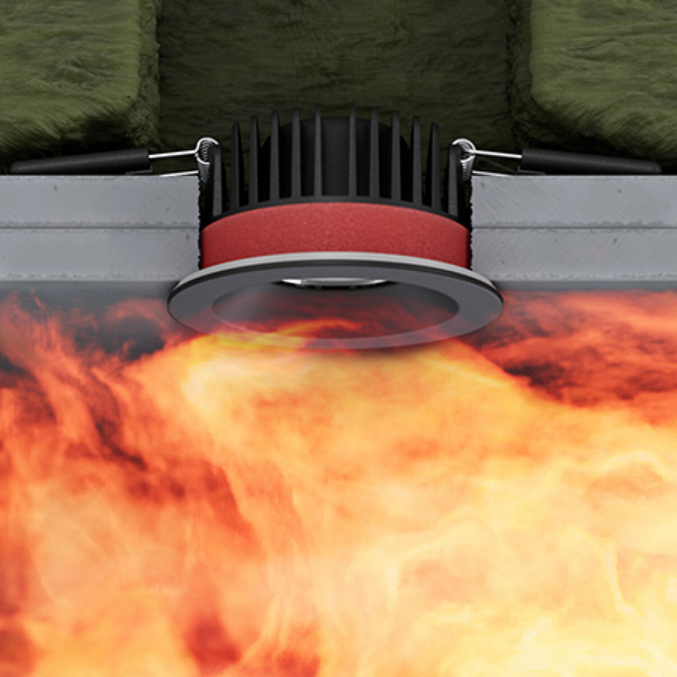 t3://file?uid=61823
