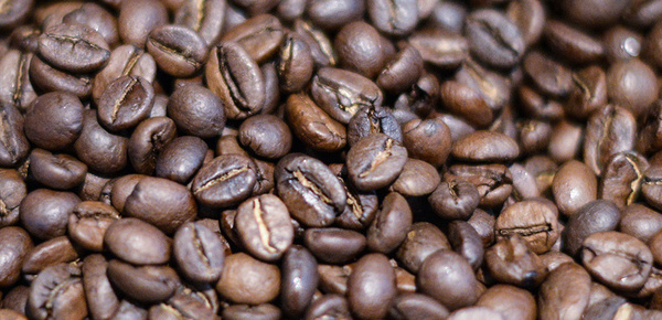 Kaffee­maschinen bei Elektro Hafner GmbH in Gmund am Tegernsee